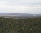 shitugen5.JPG
