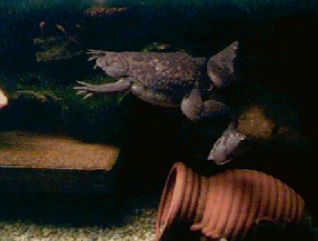 ̂悤ɂƕĂ邱Ƃ悭܂@ł񂶂ȂƐSz܂