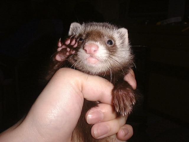 (^�^)�