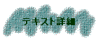 �e�L�X�g�ڍ�