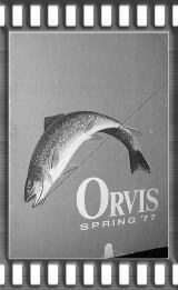 Spring Catalogue 1977