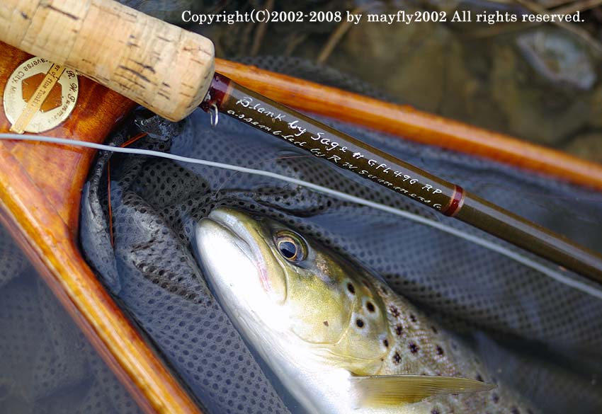 R.W.Summers.Co. Sage blanks GFL496RP 9'6" 4