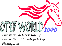 Welcome to OTEF WORLD 2000