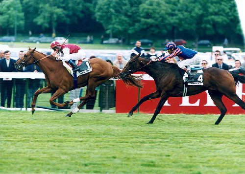 リュパン賞勝ち馬Gracioso