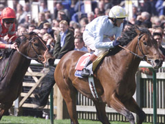 �ʐ^��"Sporting Life��"���q�؁I