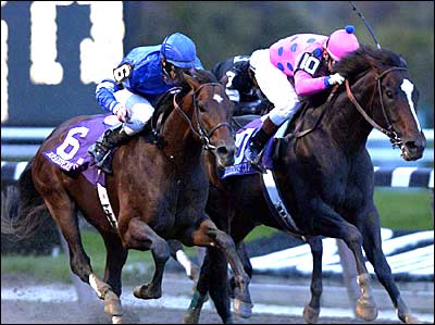 10�Ԃ��e�B�Y�i�E