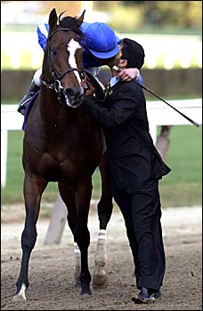 ��������э����f�b�g�[���R��ƃT�C�[�h�E�r���E�X���[���t