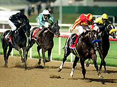 2001�NDWC�E�C�i�[�E�E�E�L���v�e���X�e�B�[��