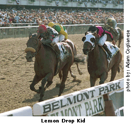 LemonDropKid-Winner of BelmontS