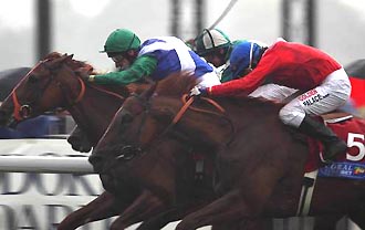 猛然と追い込むメディチアン(右側)