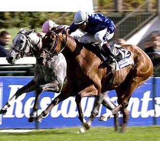 ���s�̃X�[�p�[�Ĕn