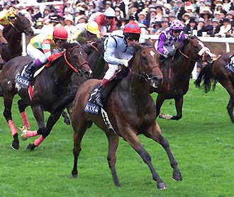 ���{�n�A�O�l�X���[���h��s��I