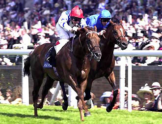 左側がハーモニックウェイ