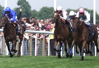 末脚爆発、バンクスヒル