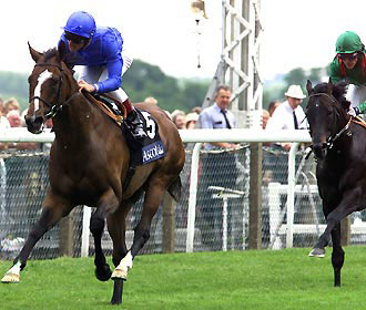 昨年度チャンピオン、先ずは面目躍如!