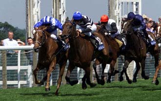 オークスに出ていれば〜〜〜〜!