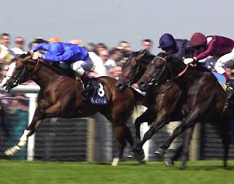 真ん中を突き抜けて勝利しようとするブラックミナルーシュ!