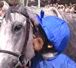 Frankie Kiss Daylami