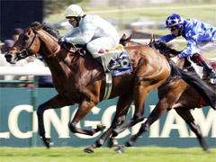 �O���O�������`�`�`�`�`�`�`�`�`�I