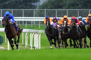 �����ɓ��������ɂ�8�n�g���̍����������G�N���[��