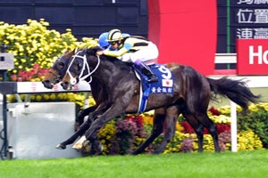 �S�r�ŃG�N���[����߂炦��X�e�C�S�[���h