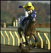 ���n��˂������N���t�l