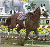 �|�C���g�M������G.�X�e�B�[�����X�R��