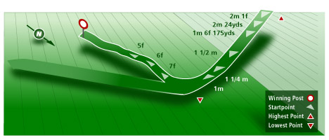 ニューマーケット俯瞰図