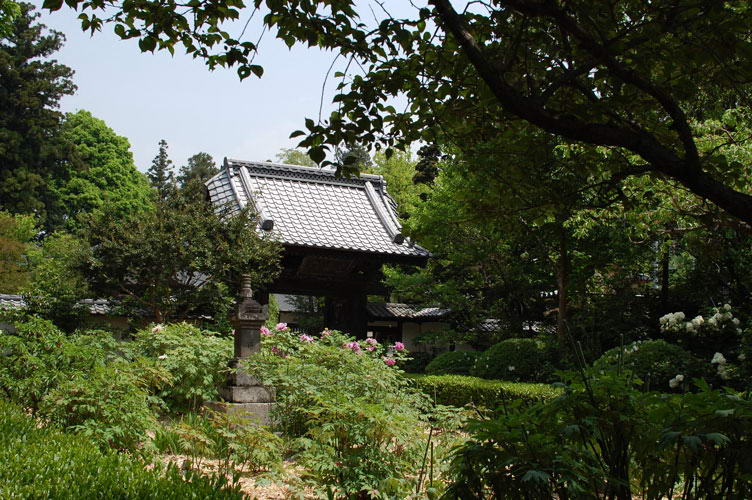花の寺-放光寺境内