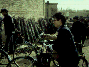 �T�g�E�L�r�𔄂�l