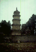 �����O���̎ɗ���