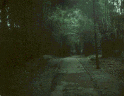 �������̒|��