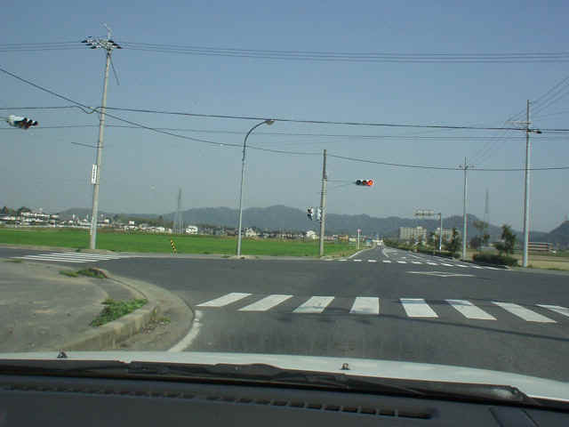 P4160011.jpg (82388 oCg)