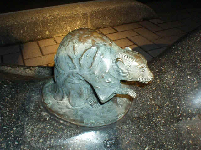 P7200011.jpg (82530 oCg)